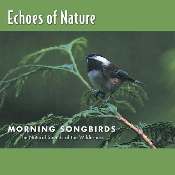 Echoes of Nature Font