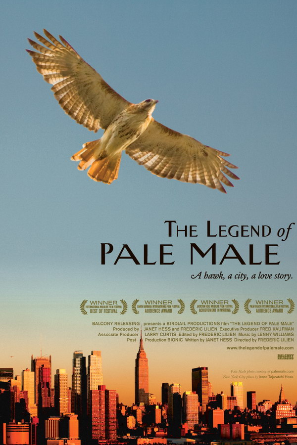 The Legend of Pale Male Font