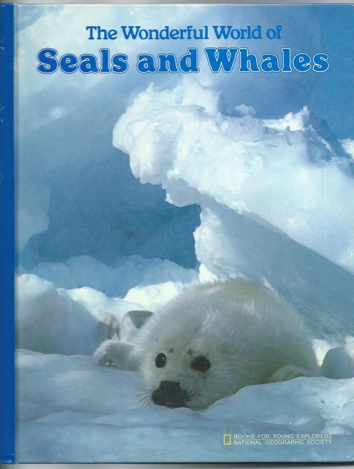 Download The Wonderful World of Seals and Whales font