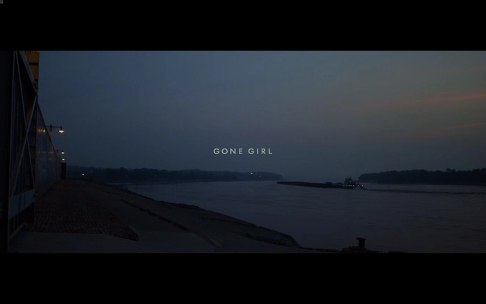 Download Gone Girl (film) font